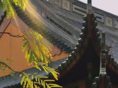 -龙华寺