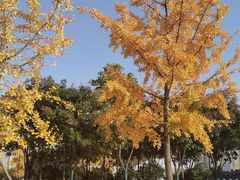 -西安浐灞国家湿地公园