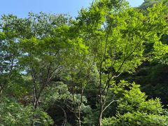 -邢台大峡谷