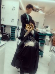 -潘多拉Hairsalon