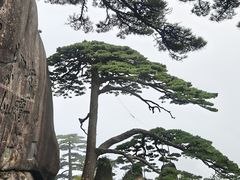 -黄牛肉馆·皖南土菜