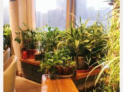 -有才叔的小馆(高新咖啡街区店)