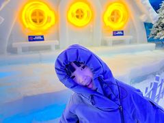 -海合安成都极地海洋公园