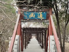 -晋祠公园
