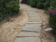 android_upload_pic-三亚亚龙湾金棕榈度假酒店