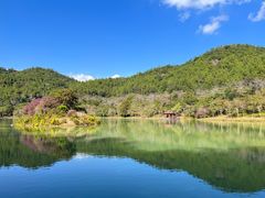 -广州白江湖森林公园