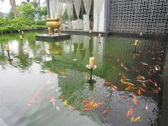 景观位-悦湖公馆