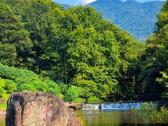-广州市石门国家森林公园
