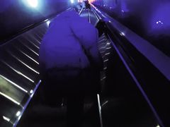 -白鹤梁水下博物馆