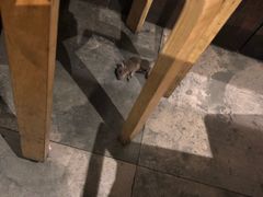 -韩国料理大力士(屏风街店)