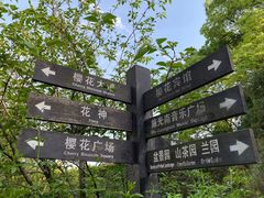 -南山植物园