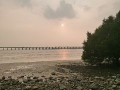 -宝安西湾红树林湿地公园