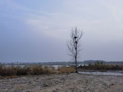 -绿堤公园