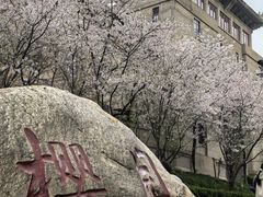 -武汉大学-樱园