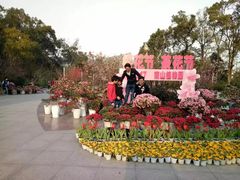 -南山植物园