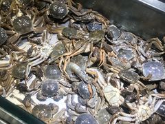 -欢乐牧场海鲜烤肉自助(牡丹园店)