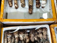 -云南木水花野生菌交易中心