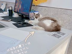 -良伴无忧宠物医院(泰欣嘉园店)