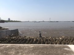 -上海滨江森林公园