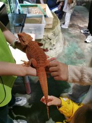 -酷嗒动物文化乐园(cutezoo西溪乐天城店)