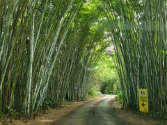 -海南热带野生动植物园