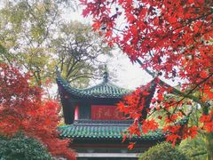 -岳麓山风景名胜区