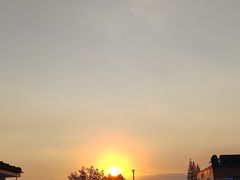 -上海佘山国家森林公园天马山园