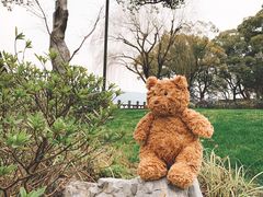 -杭州西湖柳莺里酒店