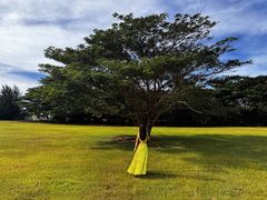 -美国纪念公园