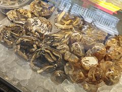 -铭聚章鱼土笋冻(松柏店)