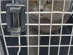 -谐和贝康宠物医院24小时·宠保定点(急重症转诊中心)