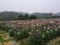 -清远熹乐谷温泉度假酒店