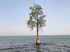 -大理洱海
