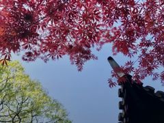 -个园