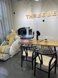 -三只熊皮肤管理中心旗舰店