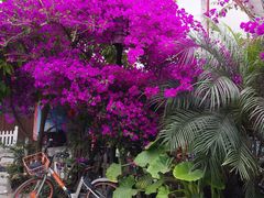 -三圣花乡旅游区