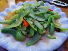 小角瓜-腾冲国萍农家乐