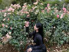 -人民公园(罗湖区)