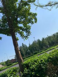 -HEYAN荷妍专业脱毛连锁机构