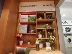 -爱欢洗ifunwash(北辰店)