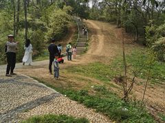 -青龙山国家森林公园