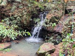-滴水岩森林公园