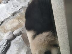 -青藏高原野生动物园