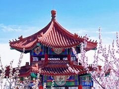 -白水寺森林公园