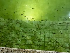 -春晖园度假酒店温泉