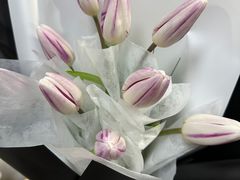 -循礼门鲜花花市(武汉循礼门店)