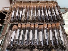 -茶是一枝花泡茶店