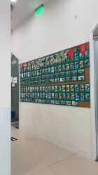 -青苗儿童口腔(长楹天街购物中心)