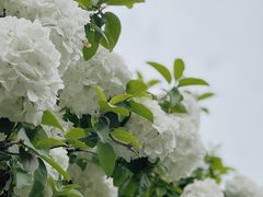 -孝子祠公园