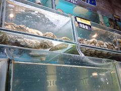 -蟹谢蒸鲜自助餐厅